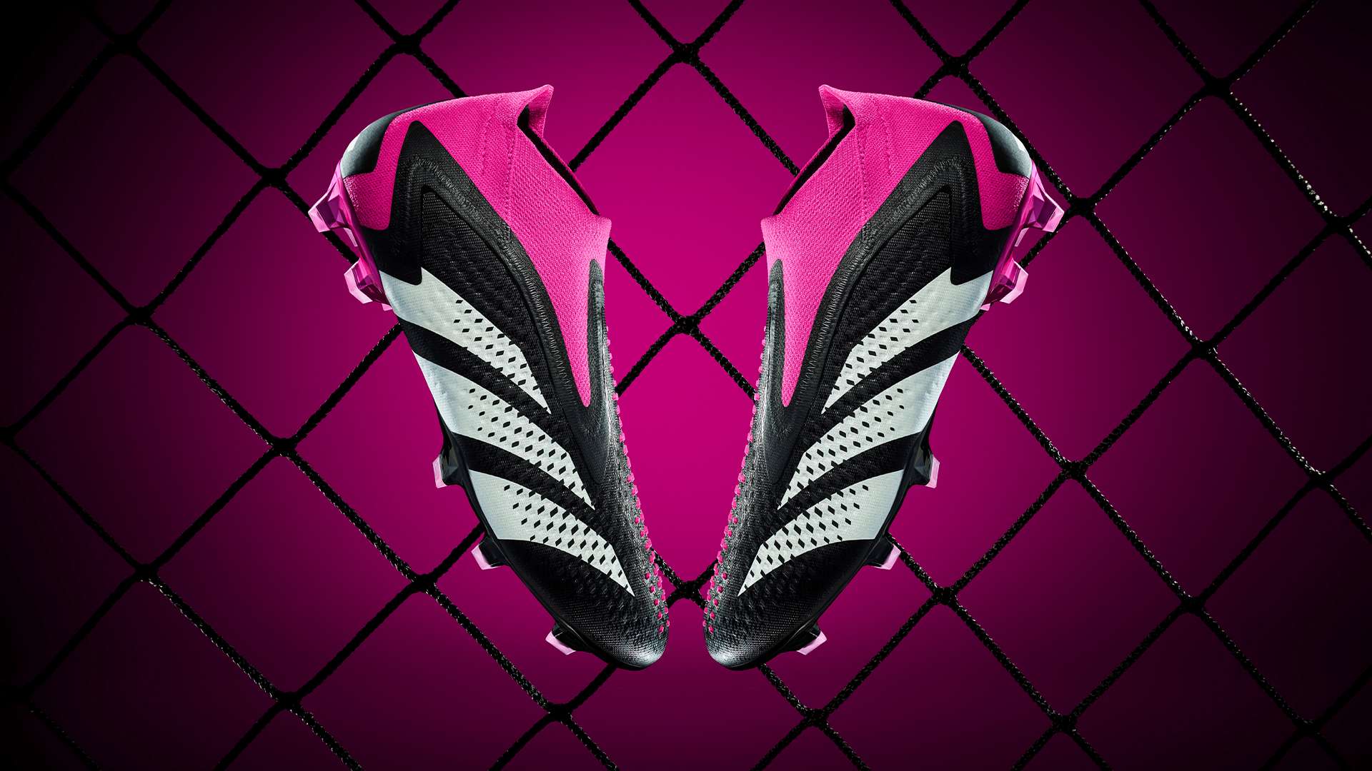 观众可以看 观众可以看